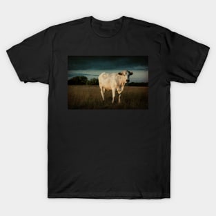 Bullock#8 T-Shirt